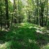 Looking down one of the old railroad bed that makes up part of the trail.