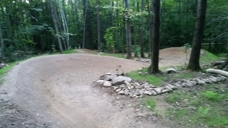 Twisted Oak Berm