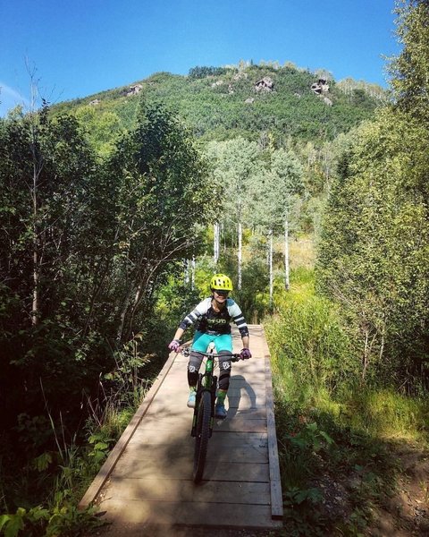 one of the many bridges at Spring Creek trail