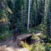 aspens and bridges abound in Spring Creek trail