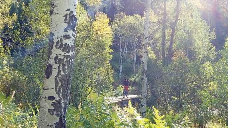 Spring Creek trail bridge