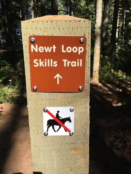 Welcome to Newt Loop!