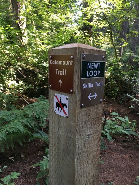 Catamount Trail entrance.