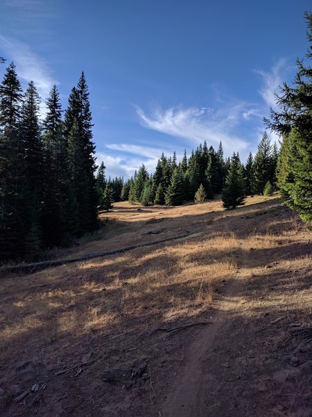 The "alpine" portion as you get close to Jubilee Lake.