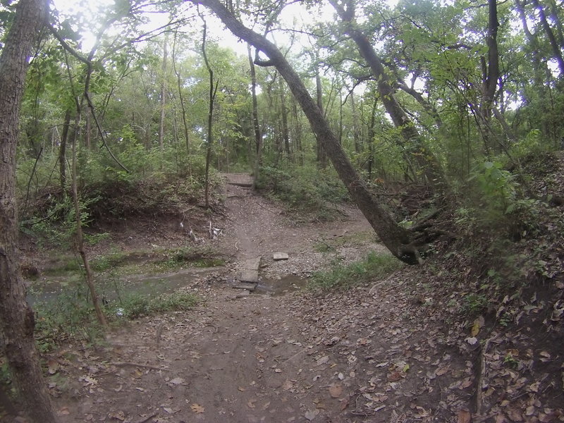 Another creek crossing on Loop 7.