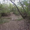 Another creek crossing on Loop 7.