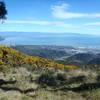 Nelson City and Tasman Bay from the top of Fringed Hill.