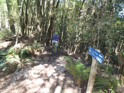 Rocks armour the trail after crossing Cummins Spur.