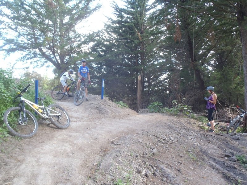 The intersection of Alpha and Exodus Trails, Silvan Forest.