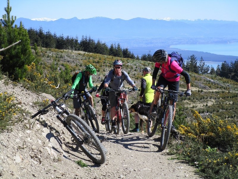 Climbing Widdershins Trail to the top of Involution with Tasman Bay in the background.