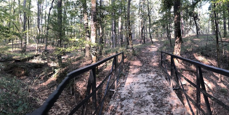 One of the many bridges on the trail.