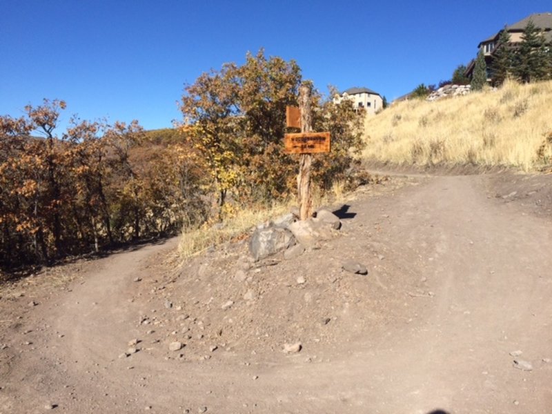 Woodshollow trail junction with Eagle Crest trail (facing West). Woodshollow descends to the left and Eagle Crest continues on the right back to the West.