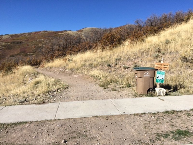 Base of South Maple Hollow Trail (Looking West). I am standing on Brookside drive.