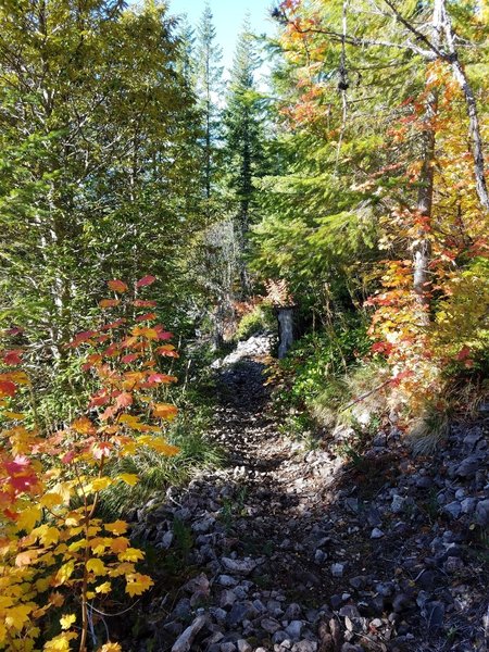 Upper section of Crawfish trail.