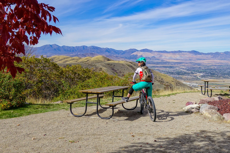 Picnic table viewpoint.