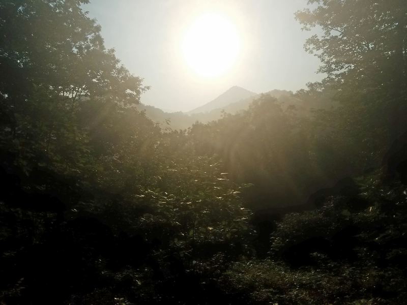 The Clyburn Ridge Stone Lick intersection offers a great view of Mollys Knob.