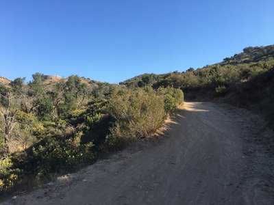 Final stretch of the Mustard Climb. If you look closely you can see the rest stop bench at the top.