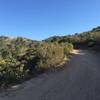 Final stretch of the Mustard Climb. If you look closely you can see the rest stop bench at the top.