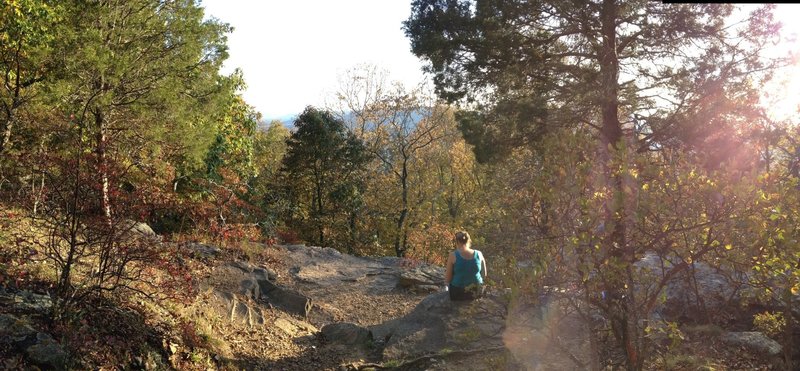 View from O'Shaughnessy Point.