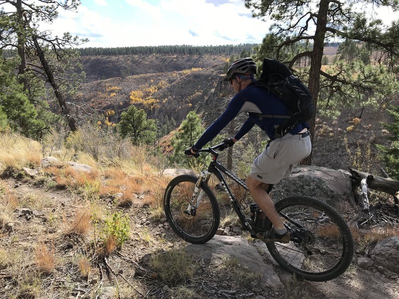 On the north rim of Water Canyon.