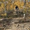 A golden day in the aspens on the American Springs Loop.