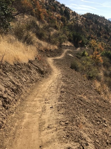 Mountain of the Rogue/ Sasquatch Trail.