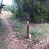 Main trail is marked by green; the 'harder' sections that loop off and back to the main are marked with blue.