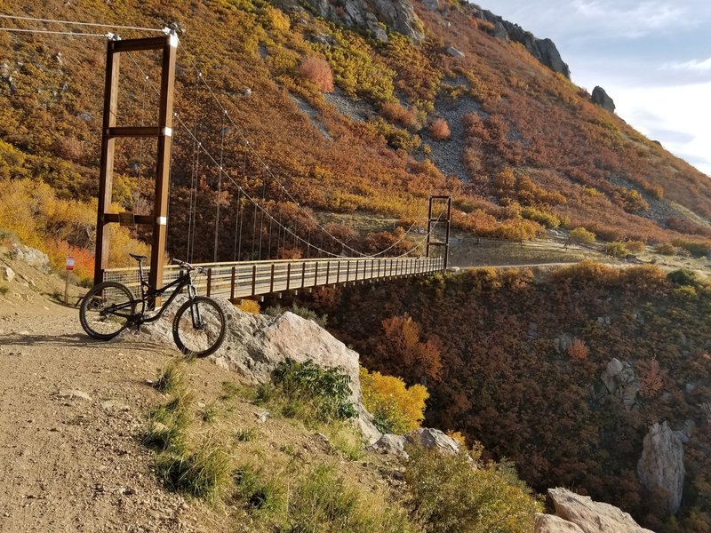 Bear Canyon Suspension Bridge