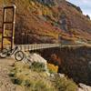 Bear Canyon Suspension Bridge