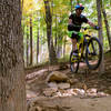 Rock drop at hobbs hollow trail, Brown County State Park