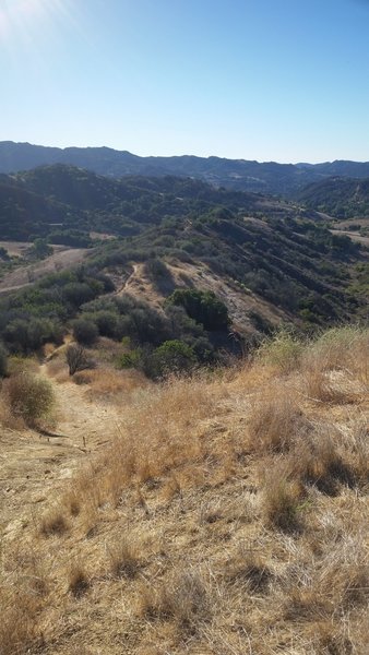 Top of U-Capa Trail. Looking South.