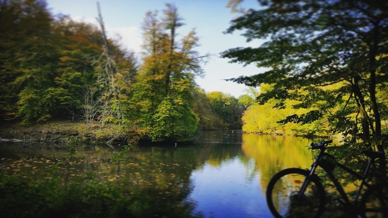 Etang de la patte d'oie