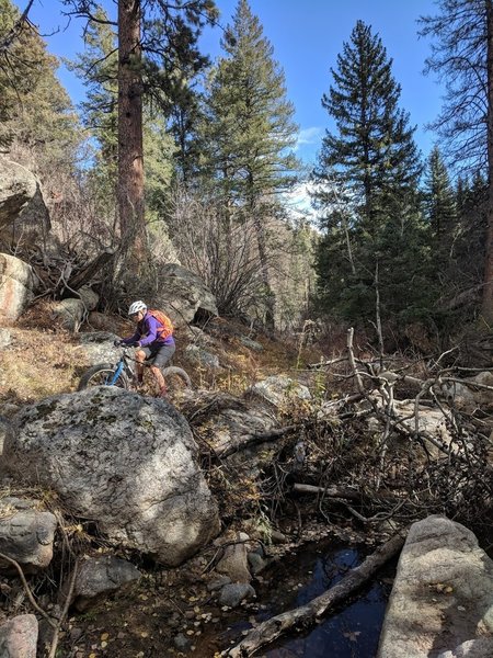 Plenty of creek crossings to be had along Lion Gulch