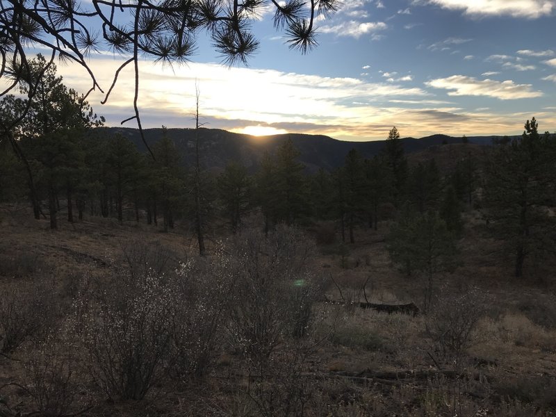 Overlooking non-burned portion of the Buffalo Creek Burn Area