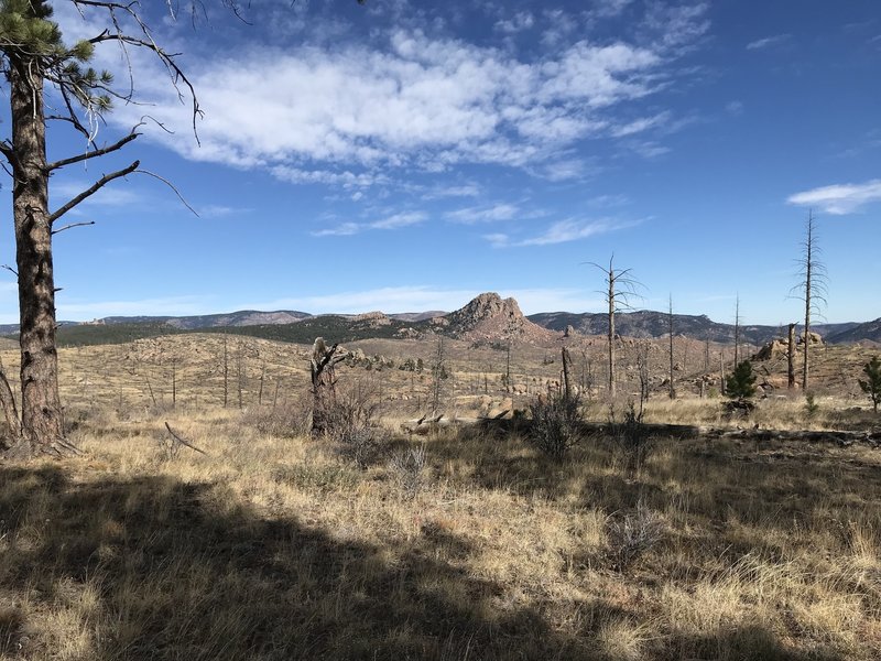 Overlook of Raleigh Peak from Burn Area