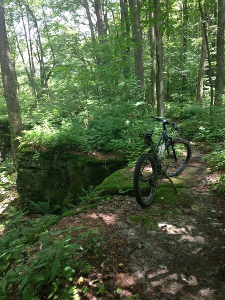 Bike lean near one of the many rock crevasses on the Rim Trail.