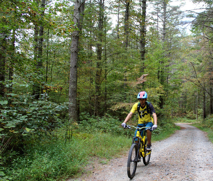 climbing to Dupont ridgeline trail