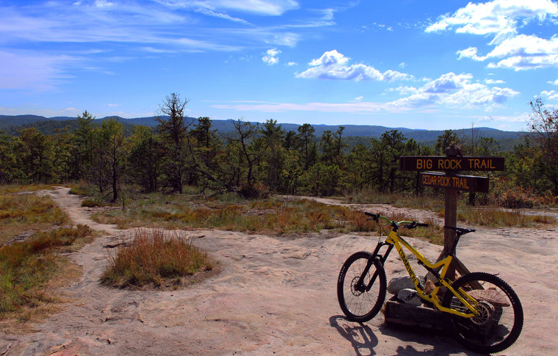 At the top of Big rock trail, Dupont.