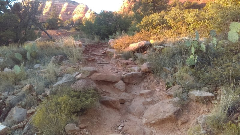 Typical Chapel trail.  Fun in spots, but very technical