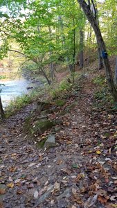 Branch point for the blue-blazed Old Quarry Trail