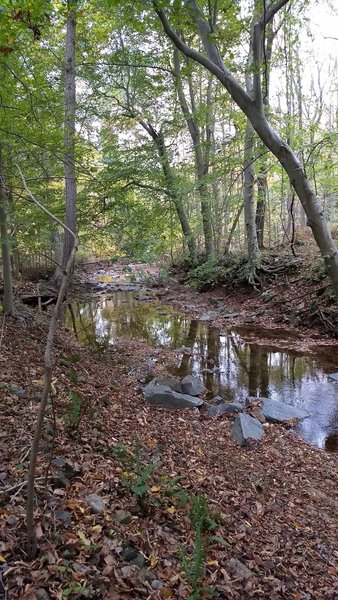 Nice spot to take a breather along the stream