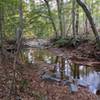 Nice spot to take a breather along the stream