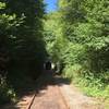 Train tunnel in Olloy-sur-Viroin