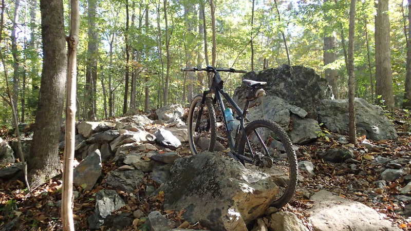 Fun rock garden! The line to the left (CW) is the fun, really techy line. I wasn't able to clean it on two attempts, but just gives me something to shoot for next trip.