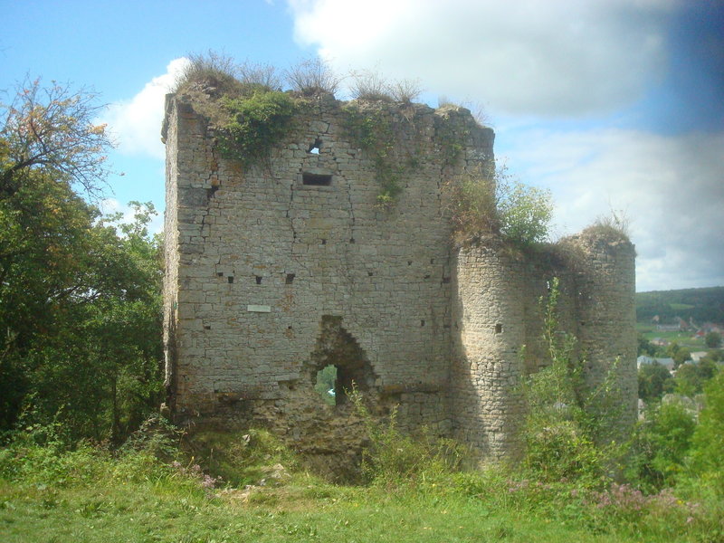 Haut-Roche Castle in Dourbes (Viroinval)