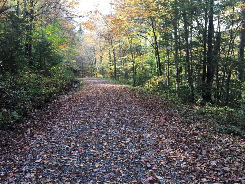 Dogway Rd down to the Cranberry River.