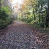 Dogway Rd down to the Cranberry River.