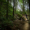 Builder of Megafauna - Bryan Connolly rips through the roots and rocks on a typical PNW day