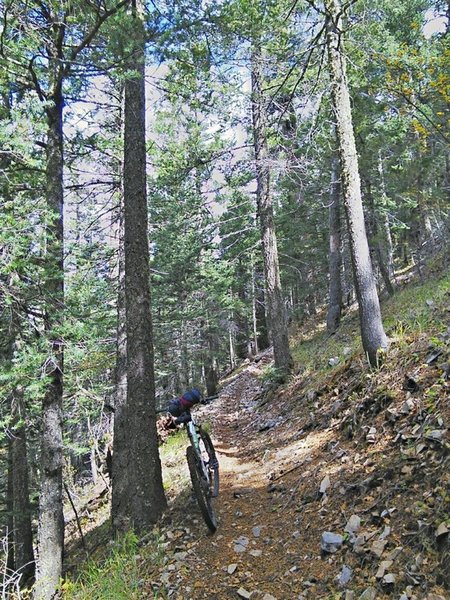 Some sections of Rim Trail have a steep cross-slope.