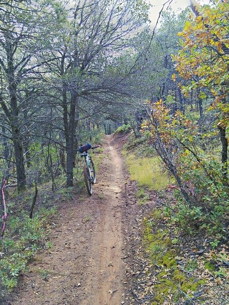 Heading up the valley.